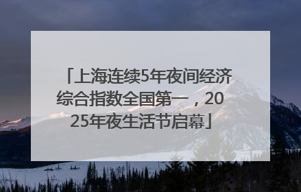 上海连续5年夜间经济综合指数全国第一，2025年夜生活节启幕