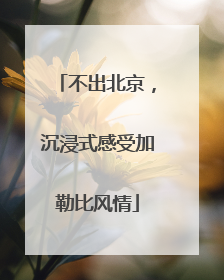 不出北京，沉浸式感受加勒比风情