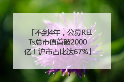 不到4年，公募REITs总市值首破2000亿！沪市占比达67%
