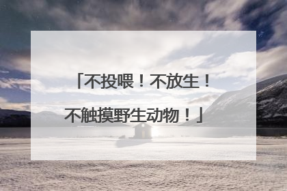 不投喂！不放生！不触摸野生动物！
