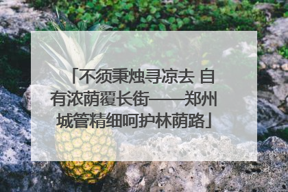 不须秉烛寻凉去 自有浓荫覆长街——郑州城管精细呵护林荫路