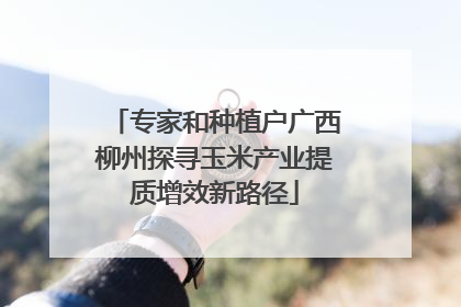 专家和种植户广西柳州探寻玉米产业提质增效新路径