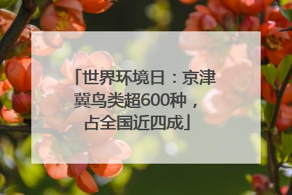 世界环境日：京津冀鸟类超600种，占全国近四成