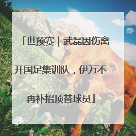 世预赛｜武磊因伤离开国足集训队，伊万不再补招顶替球员