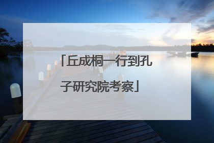 丘成桐一行到孔子研究院考察