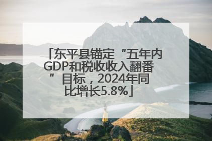 东平县锚定“五年内GDP和税收收入翻番”目标，2024年同比增长5.8%