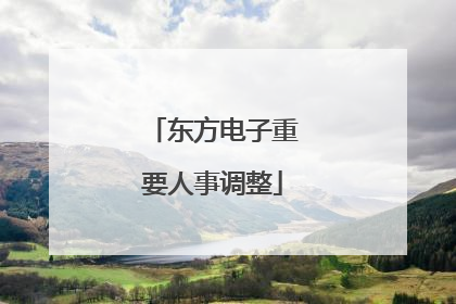 东方电子重要人事调整