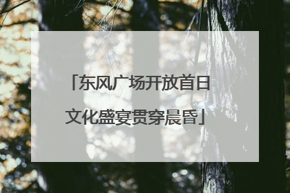 东风广场开放首日 文化盛宴贯穿晨昏