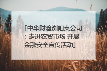 中华财险浏阳支公司：走进农贸市场 开展金融安全宣传活动