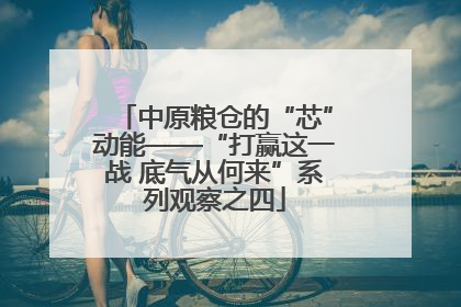 中原粮仓的“芯”动能——“打赢这一战 底气从何来”系列观察之四