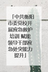 中共衡阳市委党校开展应急救护培训 赋能领导干部应急处突能力提升