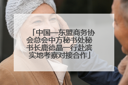 中国—东盟商务协会总会中方秘书处秘书长鹿德晶一行赴滨实地考察对接合作