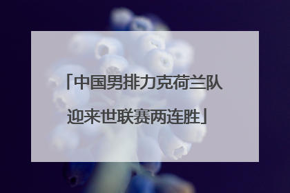 中国男排力克荷兰队 迎来世联赛两连胜