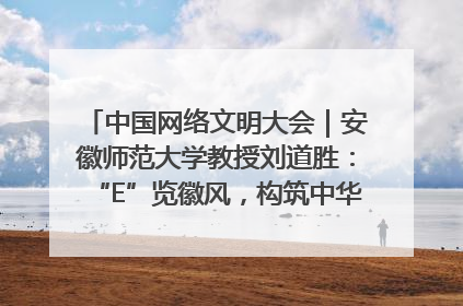 中国网络文明大会｜安徽师范大学教授刘道胜：“E”览徽风，构筑中华民族共有精神家园