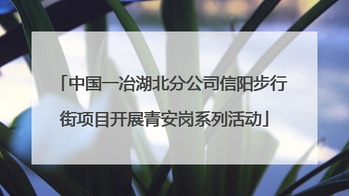 中国一冶湖北分公司信阳步行街项目开展青安岗系列活动