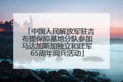 中国人民解放军驻吉布提保障基地分队参加马达加斯加独立和建军65周年阅兵活动