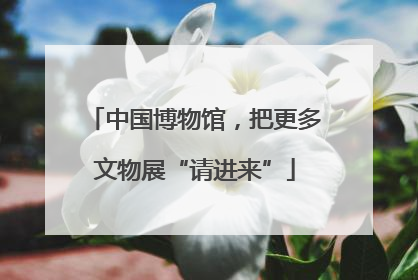 中国博物馆，把更多文物展“请进来”