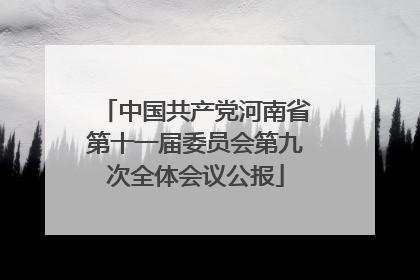 中国共产党河南省第十一届委员会第九次全体会议公报