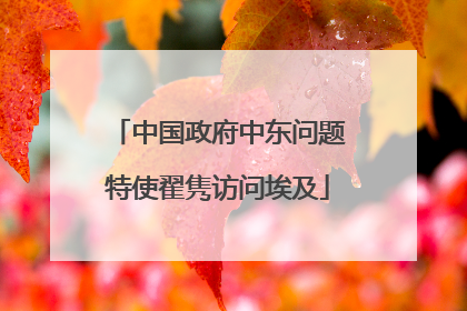 中国政府中东问题特使翟隽访问埃及