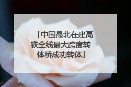 中国最北在建高铁全线最大跨度转体桥成功转体