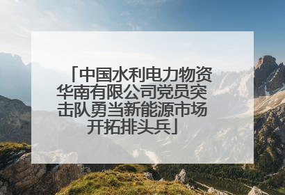 中国水利电力物资华南有限公司党员突击队勇当新能源市场开拓排头兵