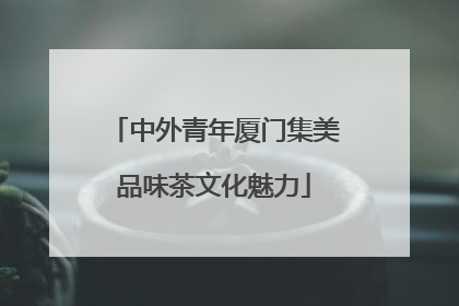 中外青年厦门集美品味茶文化魅力