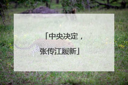 中央决定，张传江履新