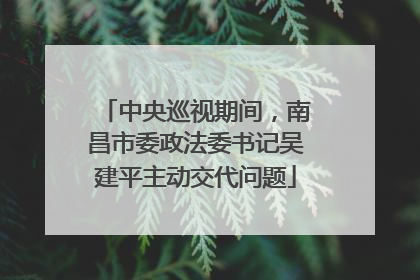 中央巡视期间，南昌市委政法委书记吴建平主动交代问题