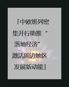 中欧班列密集开行助推“落地经济” 激活周边地区发展新动能