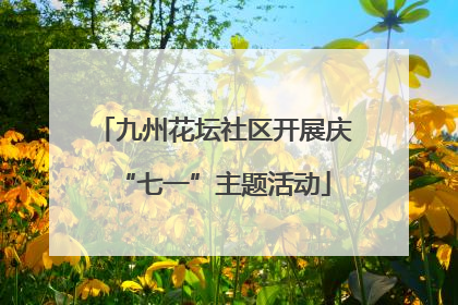 九州花坛社区开展庆“七一”主题活动