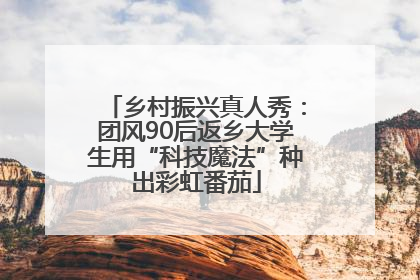 乡村振兴真人秀：团风90后返乡大学生用“科技魔法”种出彩虹番茄