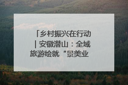乡村振兴在行动｜安徽潜山：全域旅游绘就“景美业兴民富”新画卷