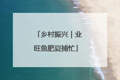 乡村振兴｜业旺鱼肥夏捕忙
