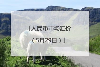 人民币市场汇价（5月29日）