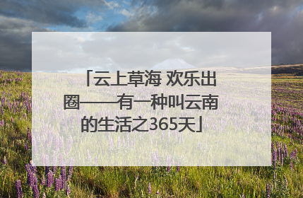 云上草海 欢乐出圈——有一种叫云南的生活之365天
