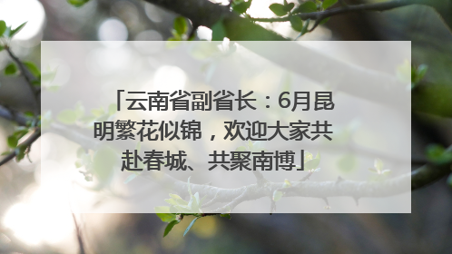 云南省副省长：6月昆明繁花似锦，欢迎大家共赴春城、共聚南博