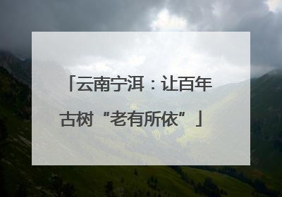 云南宁洱：让百年古树“老有所依”
