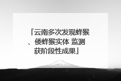 云南多次发现蜂猴、倭蜂猴实体 监测获阶段性成果