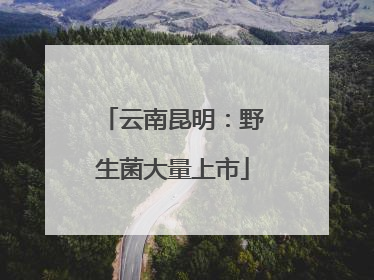 云南昆明：野生菌大量上市