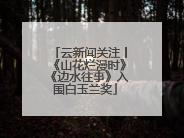 云新闻关注丨《山花烂漫时》《边水往事》入围白玉兰奖