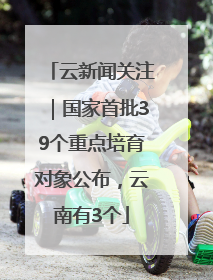 云新闻关注｜国家首批39个重点培育对象公布，云南有3个
