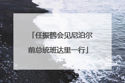 任振鹤会见尼泊尔前总统班达里一行