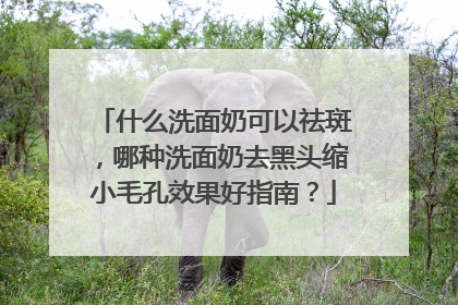 什么洗面奶可以祛斑，哪种洗面奶去黑头缩小毛孔效果好指南？