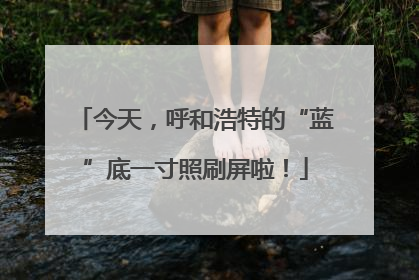今天，呼和浩特的“蓝”底一寸照刷屏啦！