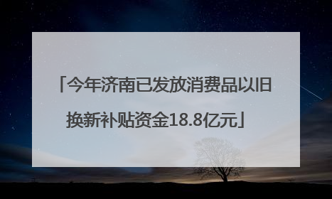 今年济南已发放消费品以旧换新补贴资金18.8亿元