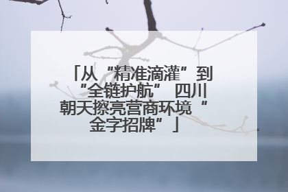 从“精准滴灌”到“全链护航” 四川朝天擦亮营商环境“金字招牌”