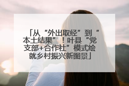 从“外出取经”到“本土结果”！叶县“党支部+合作社”模式绘就乡村振兴新图景