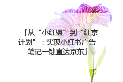 从“小红盟”到“红京计划”：实现小红书广告笔记一键直达京东