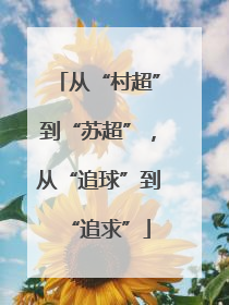 从“村超”到“苏超”，从“追球”到“追求”