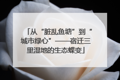 从“脏乱鱼塘”到“城市绿心”——宿迁三里湿地的生态蝶变